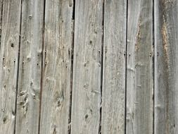 wood background barn planks panel