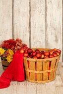 basket full of apples