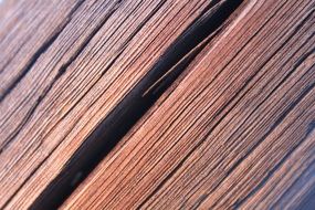 wood wooden pole texture old