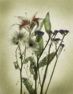 flowers texture floral spring