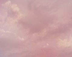 pink texture background