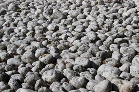 grey stones on the coast