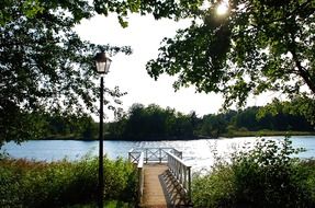 landscape forest nature blue water