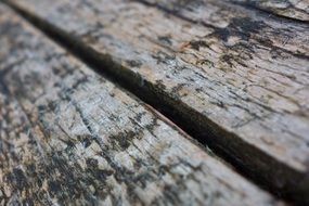 weathered wood board