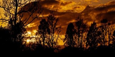 african sunset trees tree nature