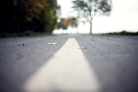 street road marking middle paint