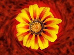yellow flower on a brown background