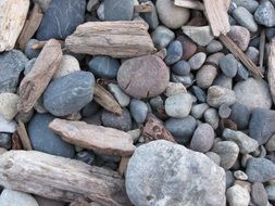 rocks wood beach texture nature