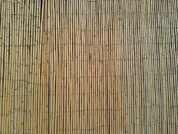 bamboo fence natural stick wall