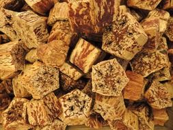 dried bud star nut texture