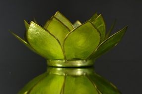 Decorative green lily