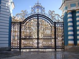 palace gate in tsarskoe selo