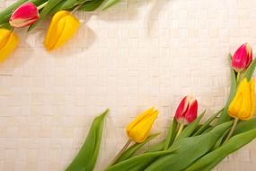 floral background decoration