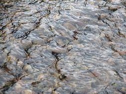 background water stones basic