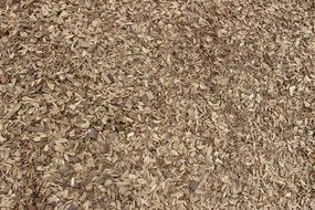 background pattern texture wood