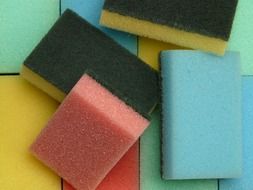 lots of colorful sponges