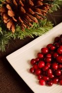 red ripe cranberries on a white plate