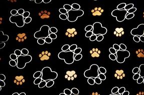 dog pawprint tracks background pet