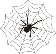 spider web black arachnid