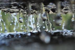 water drops wet clear clean drop