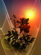 background with graphic flowers and sunset