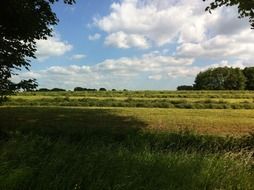 meadow nature sky shadow