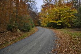fall autumn country road background
