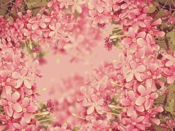 background texture floral plant