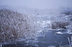 photo of a frozen pond