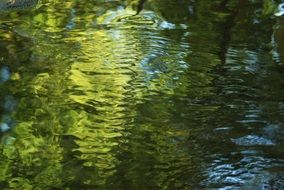 water reflection green blue