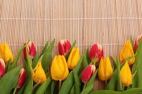 decoration of different color tulips with green leaves