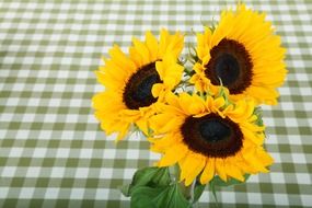 flowers arrangement on the table