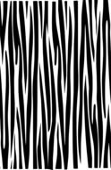 zebra stripes animal print pattern