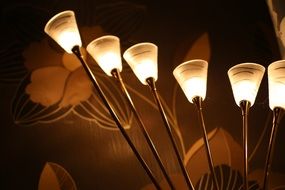 lamp light in the shade