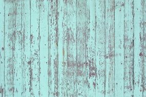 shabby texture of painted wood