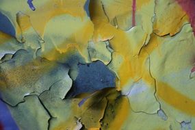 peeled off paint of a wall