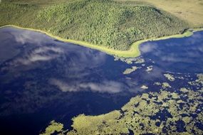 aerial view of a river