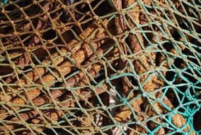 rope net texture pattern nautical