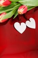 romantic two hearts and tulips bouquet