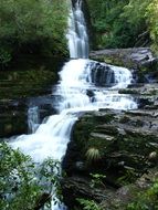 cascade of a forest river