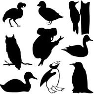 koala bird icon flock black
