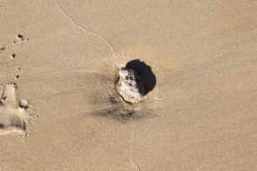 sand beach summer sea ocean