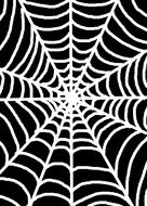 graphic white web