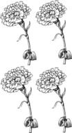 carnations drawing pattern art