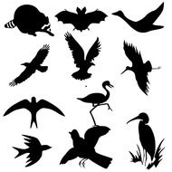 flying bird icon flock black