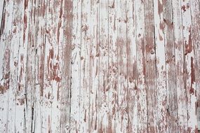 wood texture barn white paint old