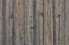 wood texture background boards old