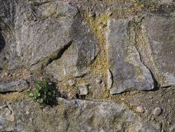 stone wall pattern texture rough