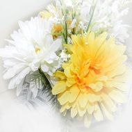 white background with yellow and white flowers