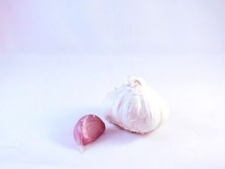 garlic white background vegetable